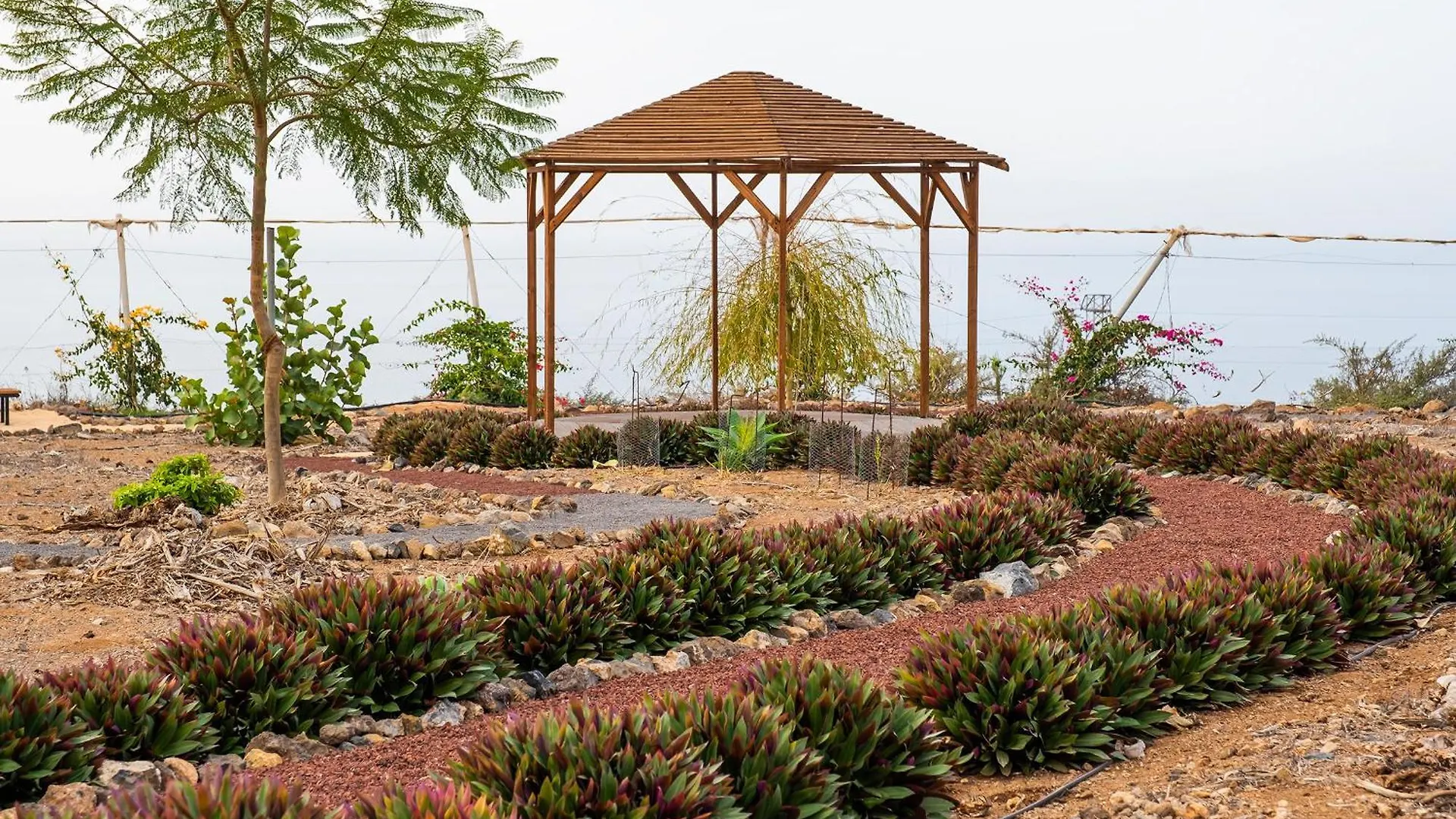 Tenerife Healing Garden Guia de Isora  Apartment Guia de Isora (Tenerife)